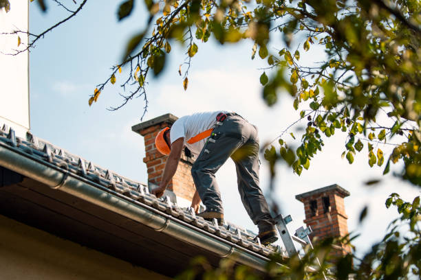 Best Roof Gutter Cleaning  in Elverta, CA